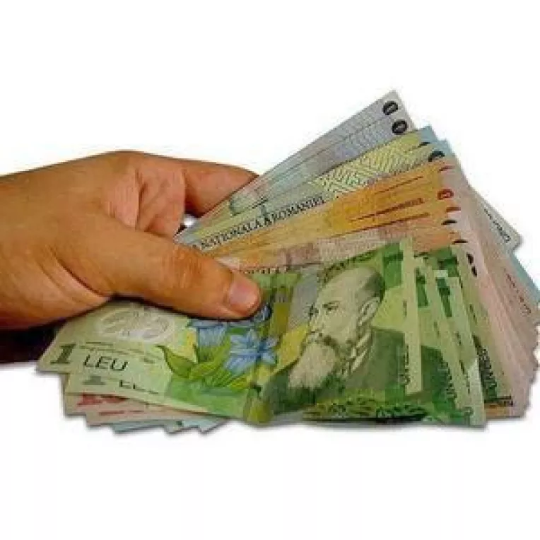 BNR intervine din nou in favoarea cursului leului