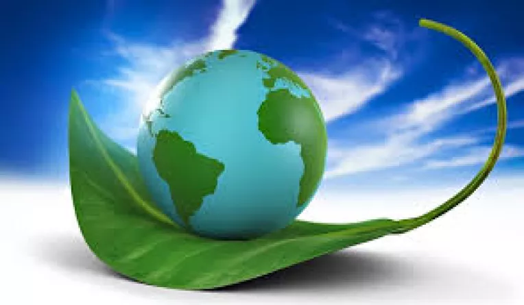 In Europa, poluarea exterioara si interioara a provocat circa 600.000 de decese premature