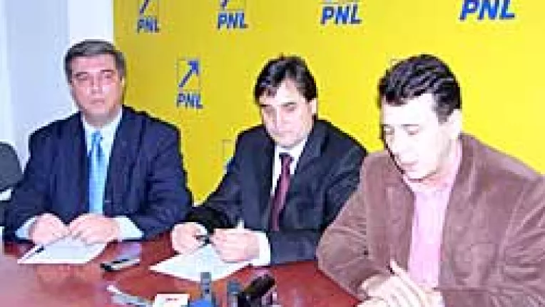 Liberalii constienti ca amanarea alegerilor erodeaza imaginea PNL