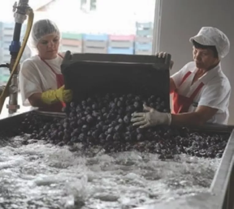 Liliana Petrus (Revista Flacara): Regal de Topoloveni (2)