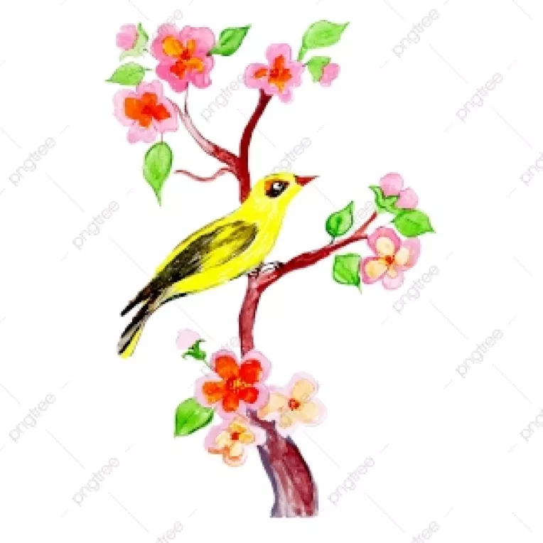 Prognoza meteo pentru perioada 8 martie 2020 - 6 aprilie 2020