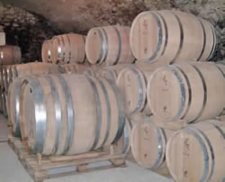 Vinul de Murfatlar se oteteste in crama in lipsa cumparatorilor